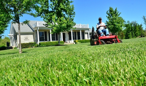 Lawn